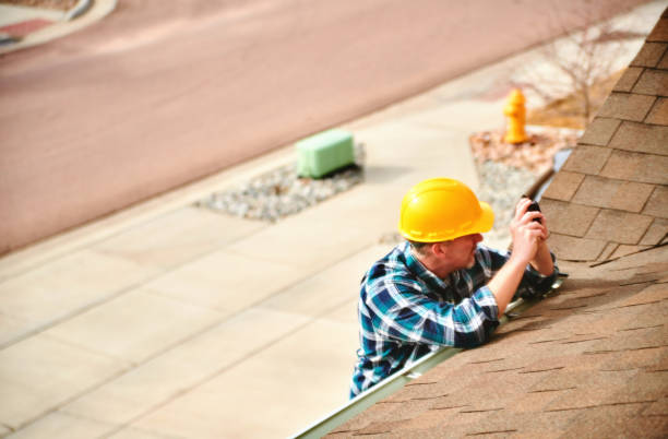 Professional Roofing Contractor in Pingree Grove, IL