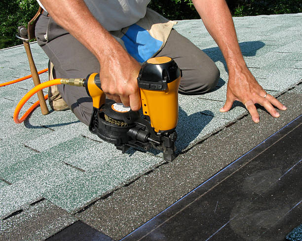 Best Roof Maintenance Services  in Pingree Grove, IL