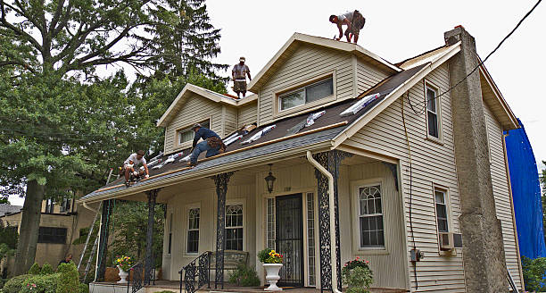 Best Roof Restoration Services  in Pingree Grove, IL