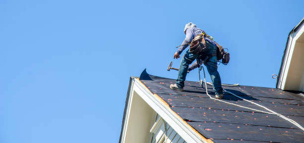 Best Commercial Roofing Services  in Pingree Grove, IL
